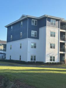 painting contractor Palm Harbor before and after photo 1781026971836_IMG_5242